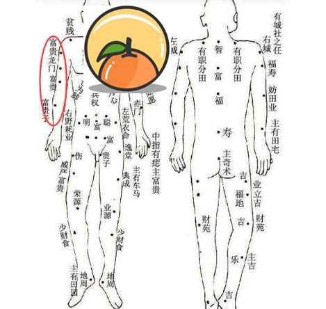 左大腿有痣|女人左大腿上长痣图解